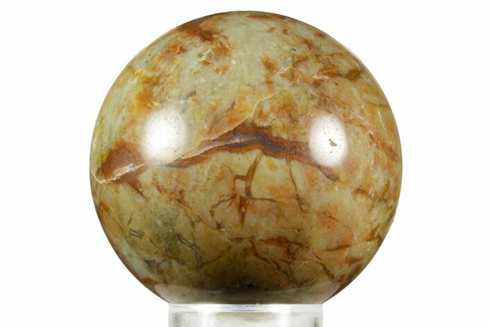 Polished Dinosaur Coprolite Sphere - Utah #370920